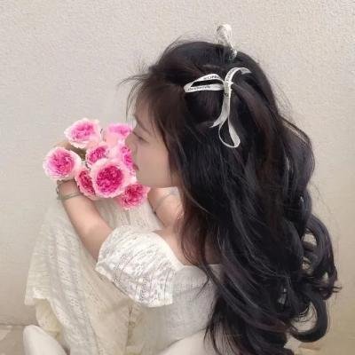 静静的决斗封面